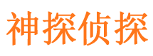 八公山市侦探公司